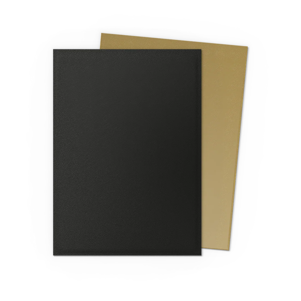 Dragon Shields: (100) Matte Dual - Black & Gold