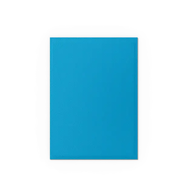 Dragon Shields: (100) Matte Dual - Skyblue & Silver