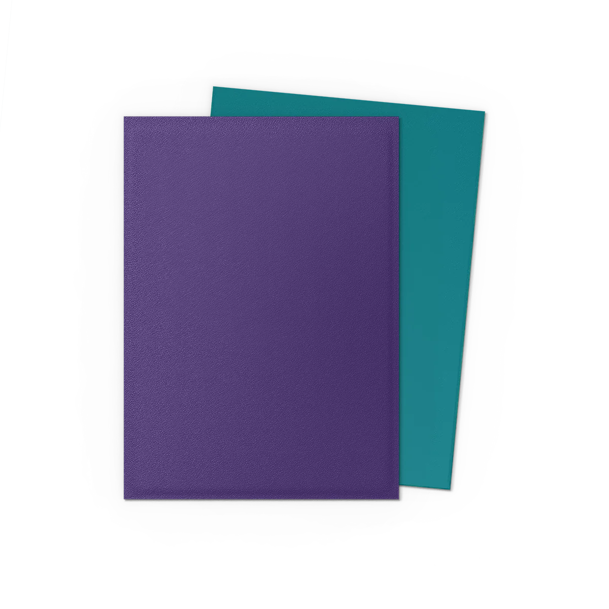 Dragon Shields: (100) Matte Dual - Soul & Petrol