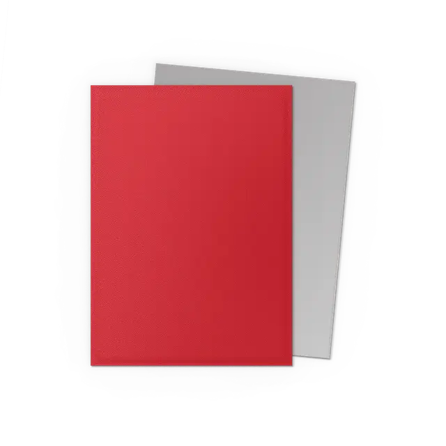 Dragon Shields: (100) Matte Dual - Crismon & Silver