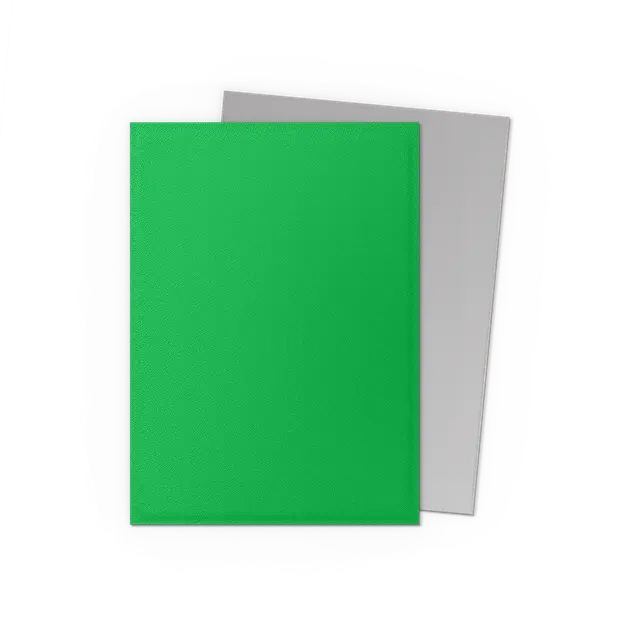 Dragon Shields: (100) Matte Dual - Apple Green & Silver