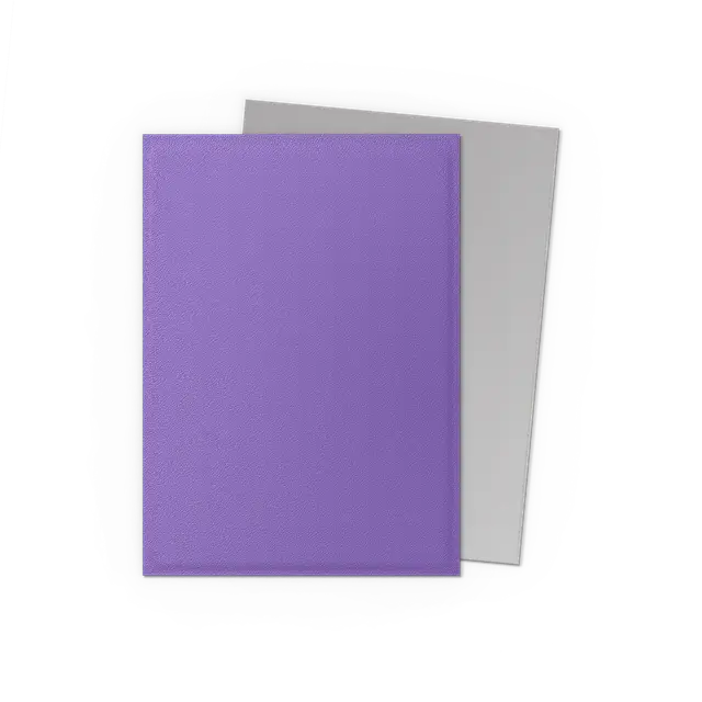 Dragon Shields: (100) Matte Dual - Nebula & Silver